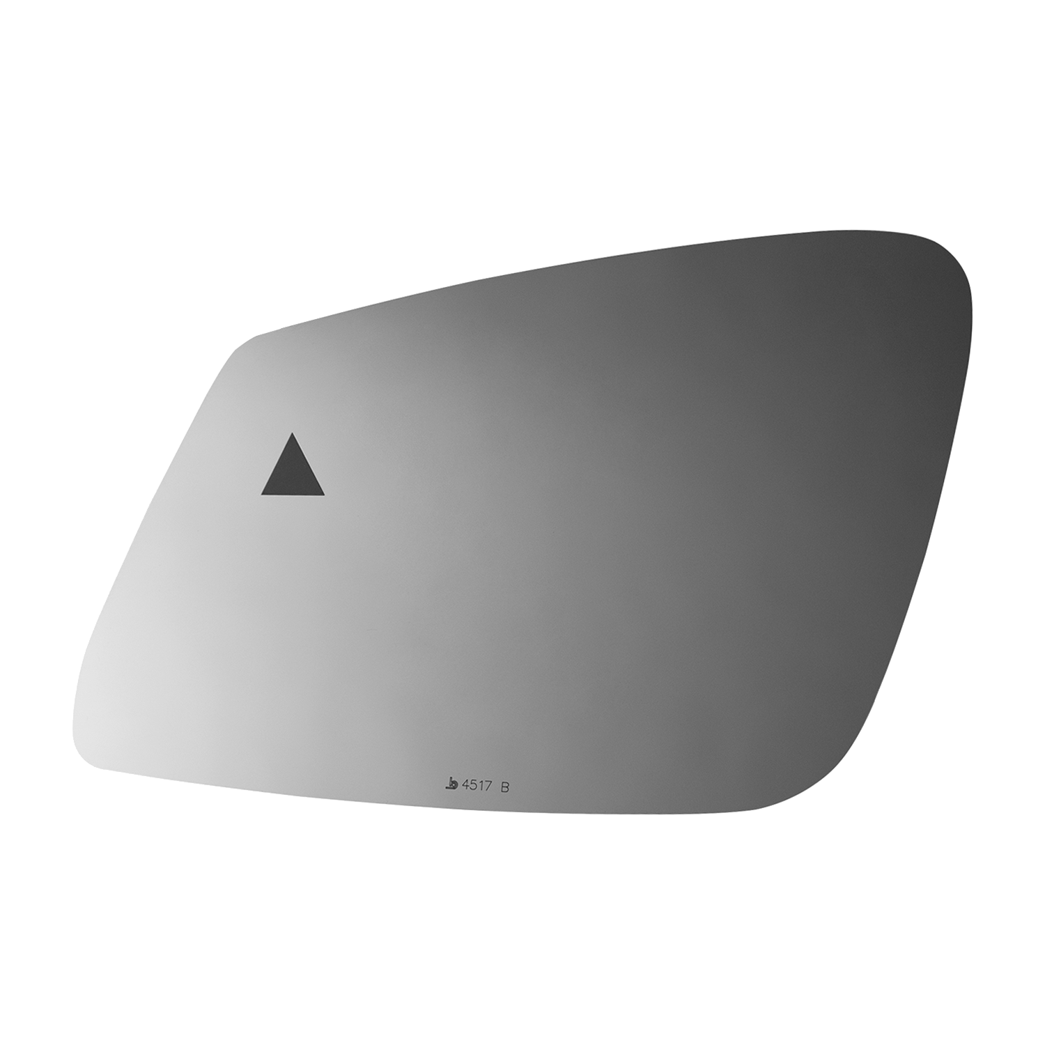 SIDE VIEW MIRROR W BLIND SPOT